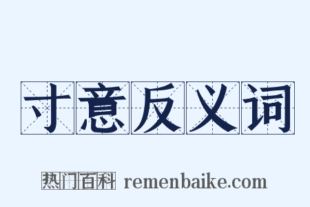 寸意反义词是什么意思的图片
